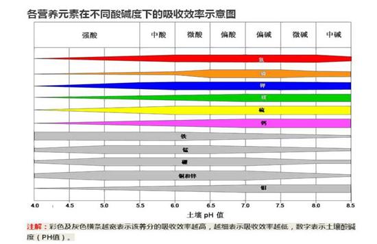 天宫课堂第二课小学生观后感