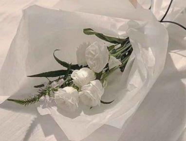 风雨哈佛路观后感800字 风雨哈佛路观后感600字左右