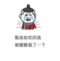 心灵捕手 心灵捕手观后感1000字大学生