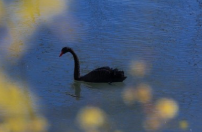海洋天堂幕后:李连杰只拿一块钱片酬
