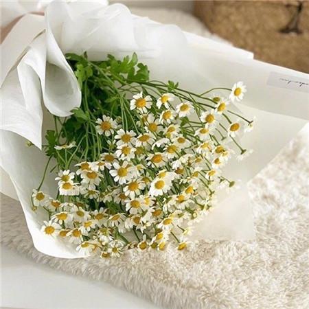 《<a href=/shanggan/34602.html target=_blank class=infotextkey>时间</a>》观后感