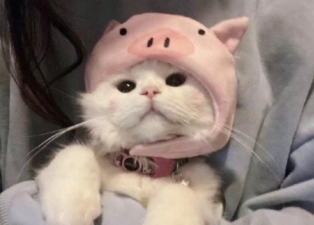 做智慧父母育优秀孩子观后感