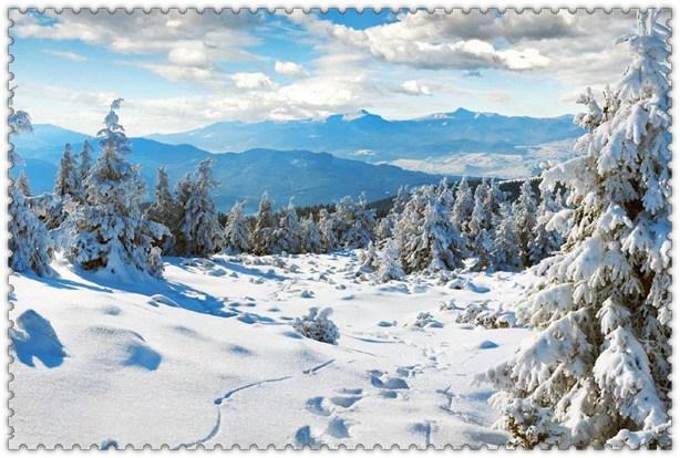 法童行护航未来观后感