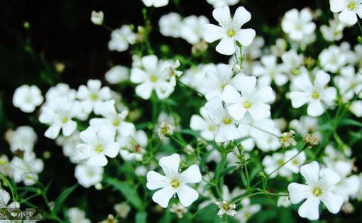 《八角笼中》的观后感