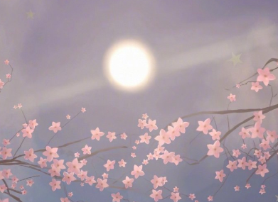 《天堂的张望》观后感