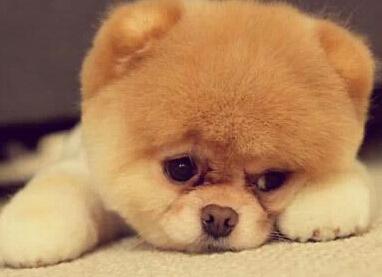 观看航拍<a href=/shanggan/34742.html target=_blank class=infotextkey>中国</a>观后感