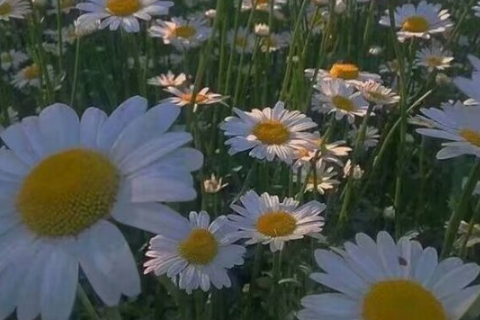 第二次《天宫课堂》观后感500字