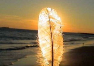 第二次《天宫课堂》观后感700字