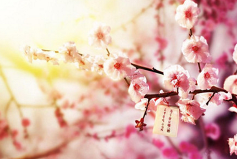 《跑吧孩子》观后感想