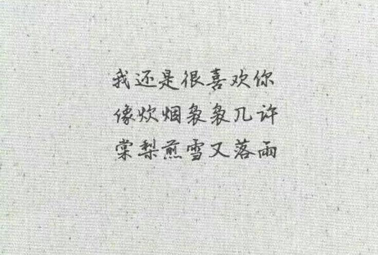 2022看北京冬残奥会观后感