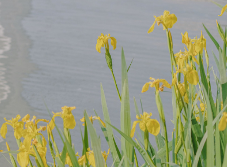 感动<a href=/shanggan/34742.html target=_blank class=infotextkey>中国</a>人物观后感2024 感动<a href=/shanggan/34742.html target=_blank class=infotextkey>中国</a>颁奖晚会视频