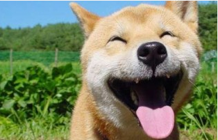 感动<a href=/shanggan/34742.html target=_blank class=infotextkey>中国</a>十大人物视频观后感