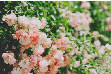 银河补习班观后感