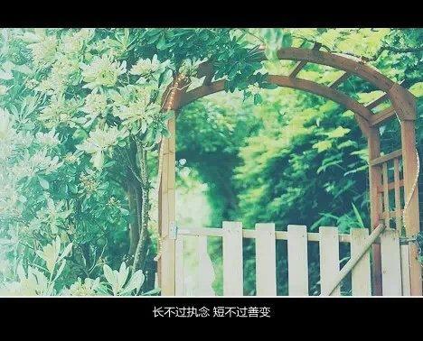 感动<a href=/shanggan/34742.html target=_blank class=infotextkey>中国</a>2021年度人物颁奖盛典观后感900字