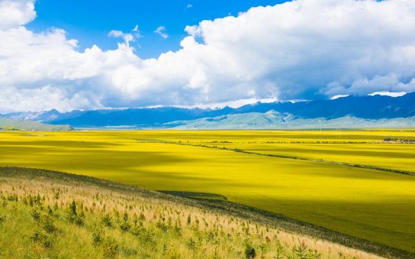 专题节目《榜样6》观后感