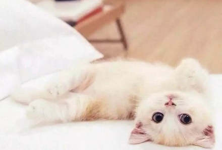 《开学第一课》观后感_1200字