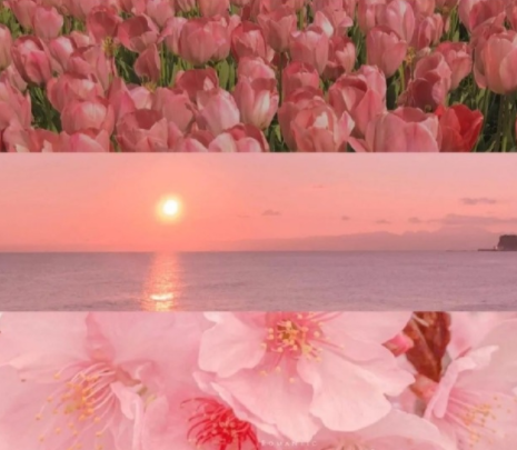 电影孔子观后感