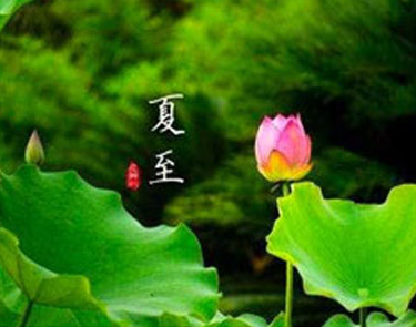 观看北京冬奥会开幕式小学生观后感