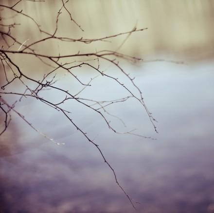 九部半电影观后感