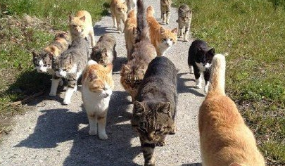 电影热辣滚烫观后感 热辣滚烫观后感800字