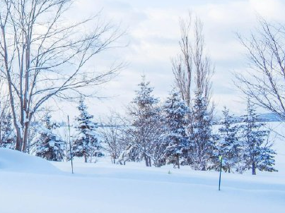 无问西东:唤醒沉睡良知 浙江大学观后感