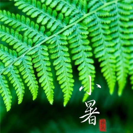 开学第一课观后感400字