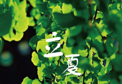 广东开学第一课直播观后感800字