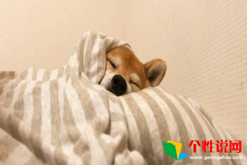 电影千与千寻观后感(锦集13篇)