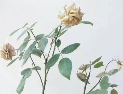 我和我的父辈优秀观后感500字