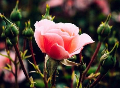 电影长津湖观后感