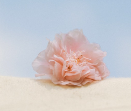 央视cctv《开学第一课》观后感500字