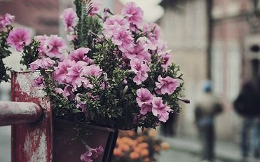 观白银帝国有感 白银帝国豆瓣影评