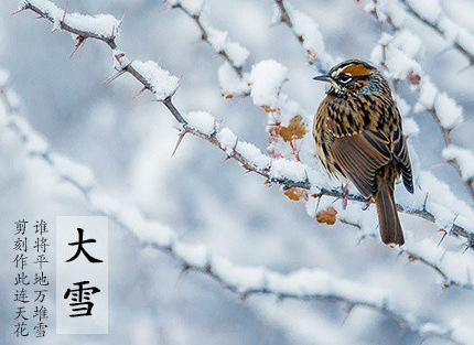 最新铁道英雄观后感