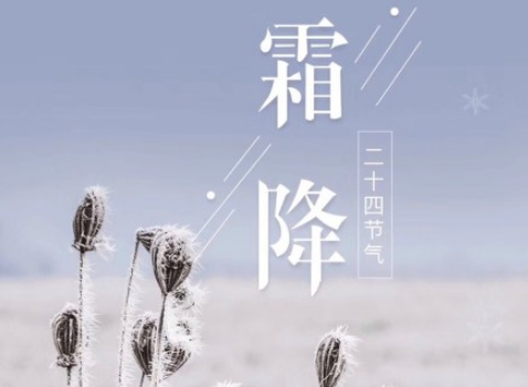 《风雨哈佛路》观后感