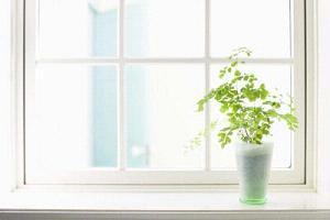 可怜妈妈电影观后感优秀