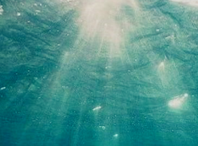 安全事故案例观后感