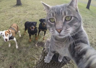 全国防灾减灾日直播优秀观后感