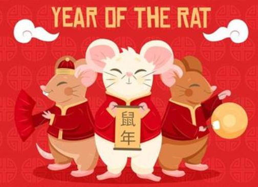 《夺冠》观后感