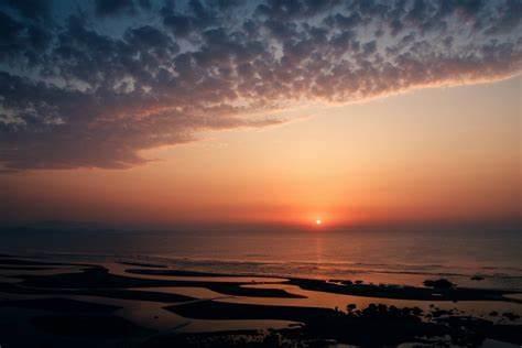 沉默的羔羊观后感精彩