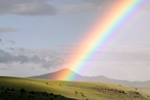 博物馆的观后感