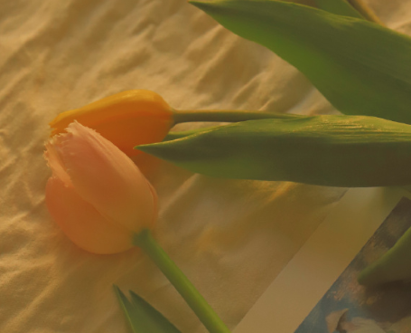 交通安全课观后感