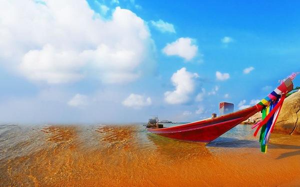 扬名立万电影观后感 一球成名观后感