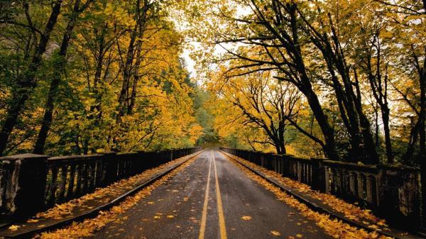 道德模范观后感(通用35篇) 道德模范事迹200字