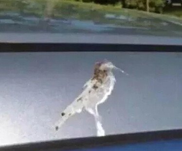 万里归途的观后感<a href=/xinqing/34512.html target=_blank class=infotextkey>范文</a>(通用7篇)