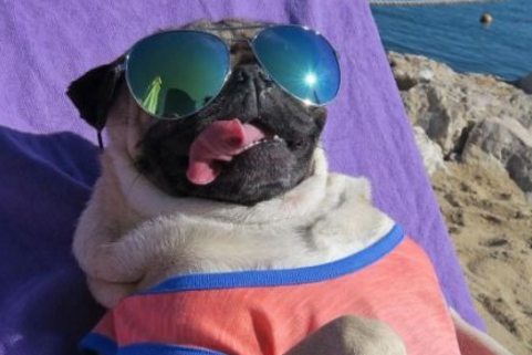 关于收看榜样6心得<a href=/pengyouquan/33720.html target=_blank class=infotextkey>体会</a>(<a href=/baqi/34092.html target=_blank class=infotextkey>精选</a>33篇)