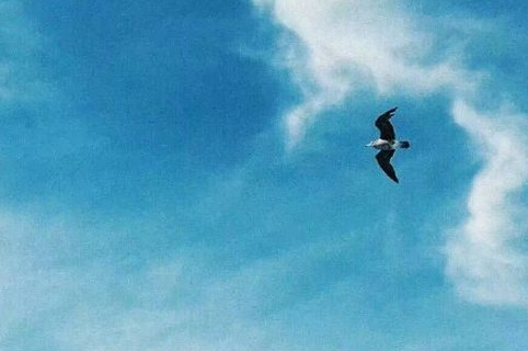 <a href=/shanggan/34317.html target=_blank class=infotextkey>我们</a>的冬奥观后感6篇 2022冬奥会观后感