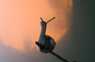 电影杜拉拉升职记观后感(<a href=/baqi/34092.html target=_blank class=infotextkey>精选</a>17篇)