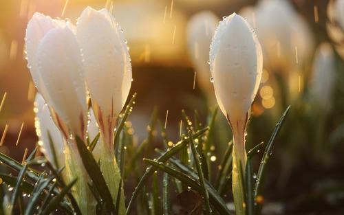 河南卫视春晚观后感 河南卫视直播在线观看今天<a href=/baqi/34801.html target=_blank class=infotextkey>晚上</a>