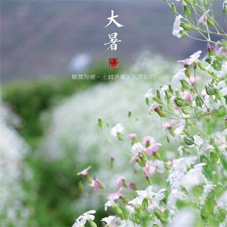 2023年读金波的作品读后感 漂着金子的河