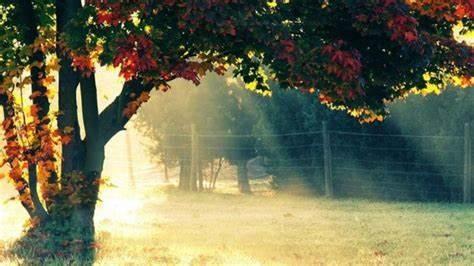 电影长津湖观后感 长津湖的观后感